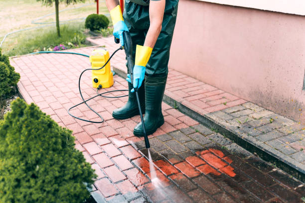 Best Restaurant Pressure Washing  in Whitg, IN
