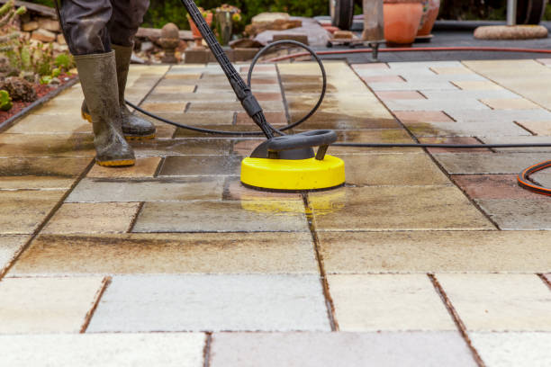 Best Driveway Pressure Washing  in Whitg, IN